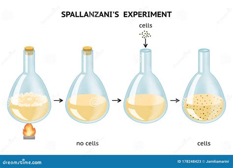 lazzaro spallanzani experiment|louis pasteur disprove spontaneous generation.